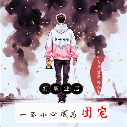 王者职业选手常用英雄